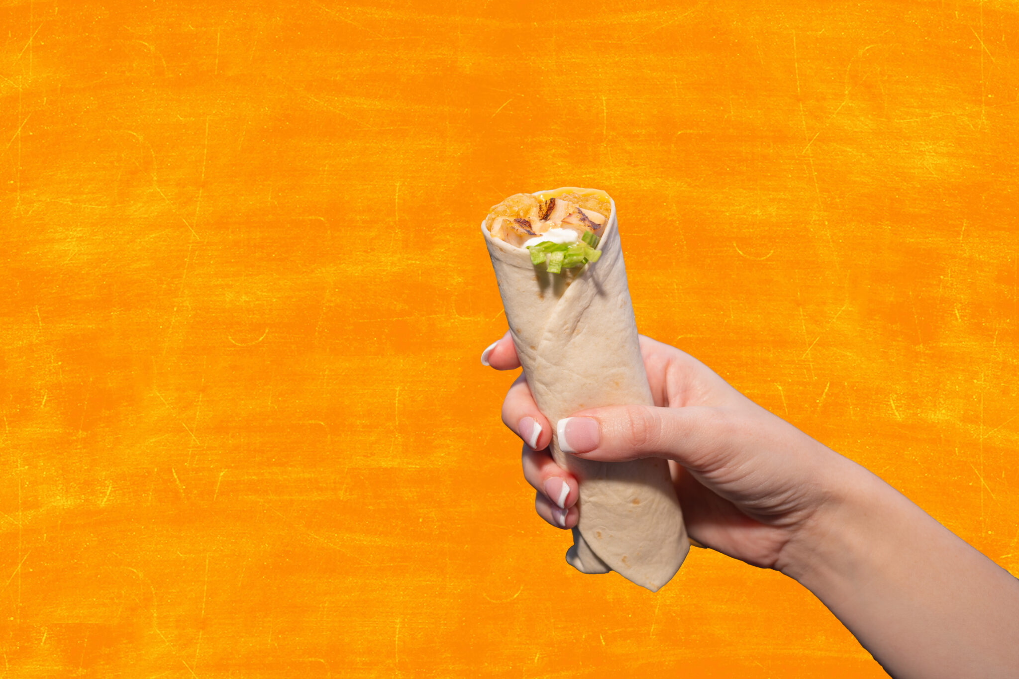 BurritoInHand