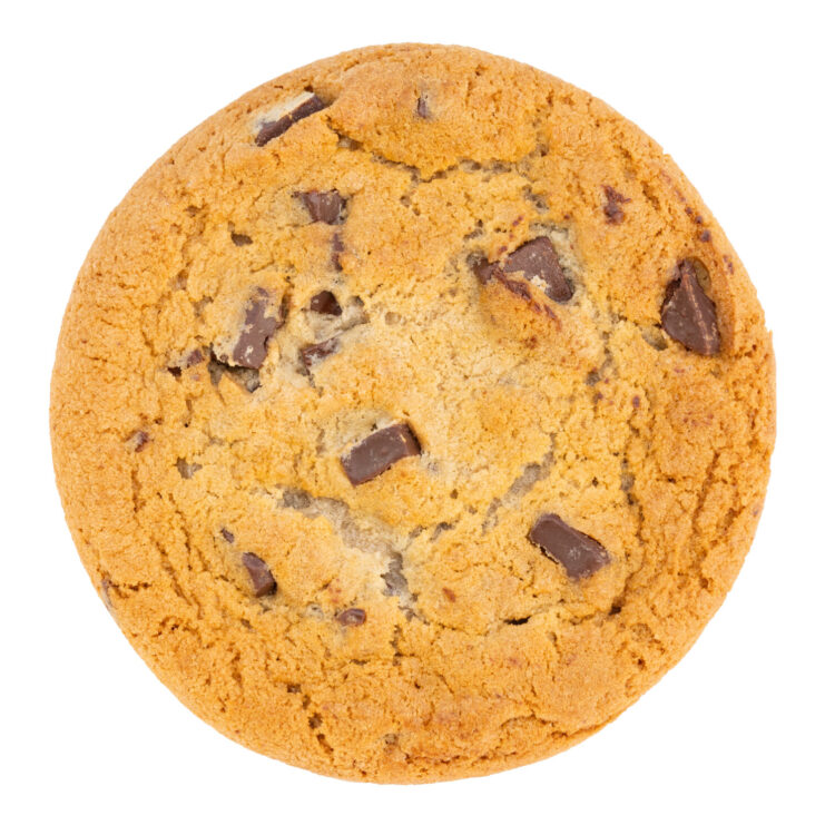 Freebirds chocolate chip cookie photographed on white background