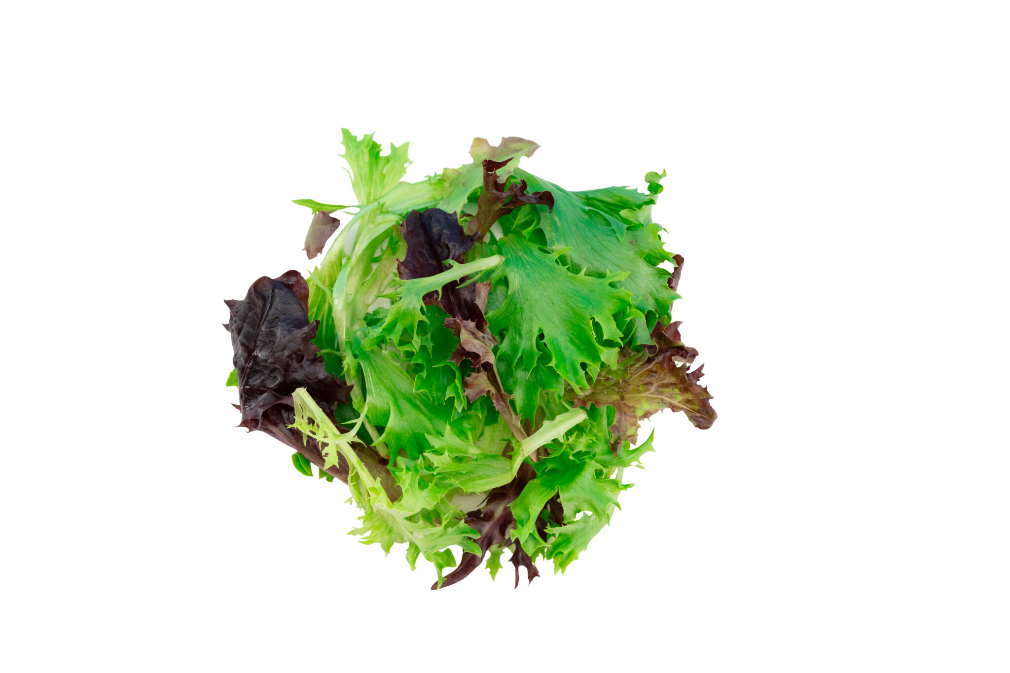 Spring mix lettuce ingredient photography for Freebirds Agave Adobo Salad campaign