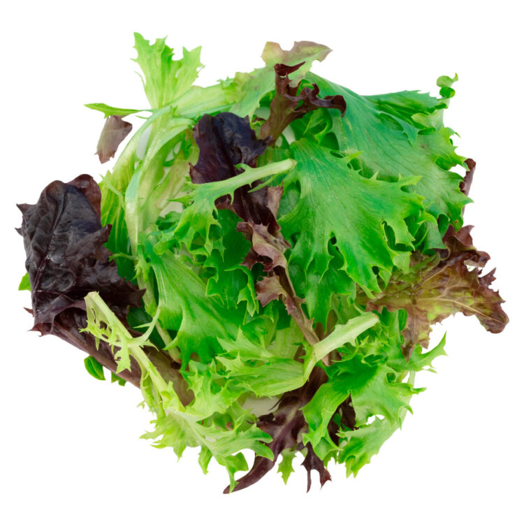 Spring mix lettuce ingredient photography for Freebirds Agave Adobo Salad campaign